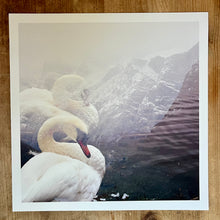 Load image into Gallery viewer, Album art print
