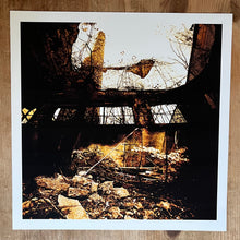Load image into Gallery viewer, Album art print

