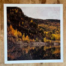 Load image into Gallery viewer, Album art print
