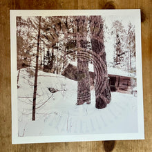 Load image into Gallery viewer, Album art print
