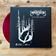 Load image into Gallery viewer, The White Cedars/ Streamkeeper LP
