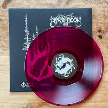 Load image into Gallery viewer, The White Cedars/ Streamkeeper LP
