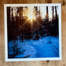 Load image into Gallery viewer, Album art print
