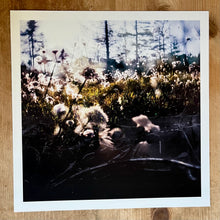 Load image into Gallery viewer, Album art print
